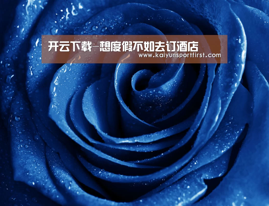 开云下载-想度假不如去订酒店(图1) 开云体育