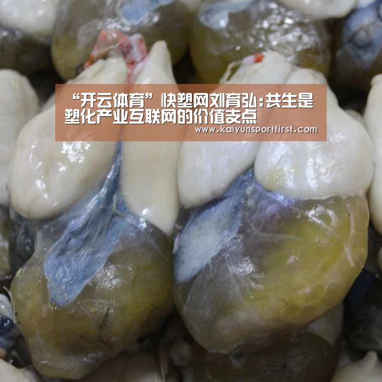 开云比分