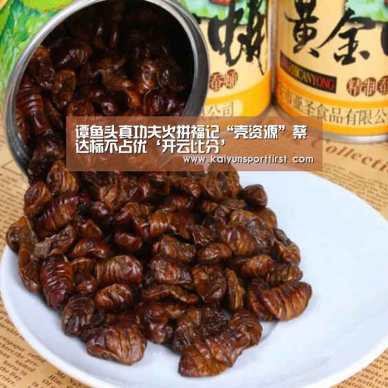 开云比分