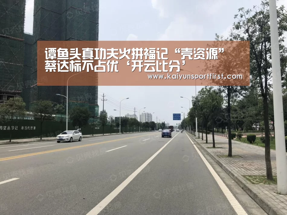开云比分