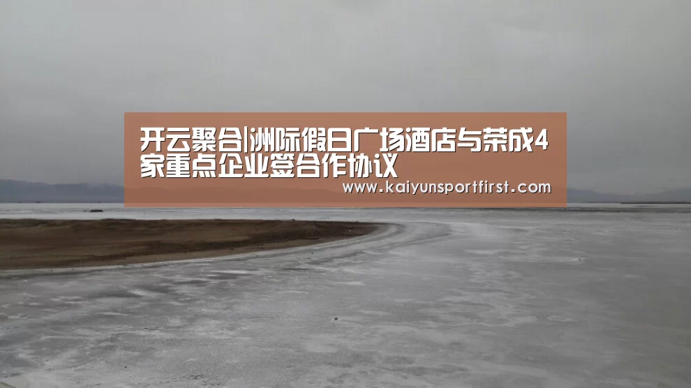 开云聚合